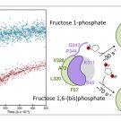 Substrate Specificity Modification