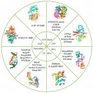 Using Bioinformatics Tools for Enzyme Active Site Prediction