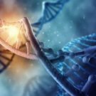 Gene fragment synthesis Service