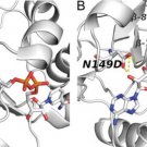 Cofactor Integration Cofactor Integration