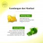 Sariayu Intensive Acne Care Serum Centella Asiatica Extract ans Salicyclic Acid Acne Skin 12ml 1pcs