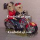 Collectables