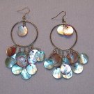 Large Hooped Shell Earrings