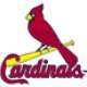 St Louis Cardinals Dog Apparel
