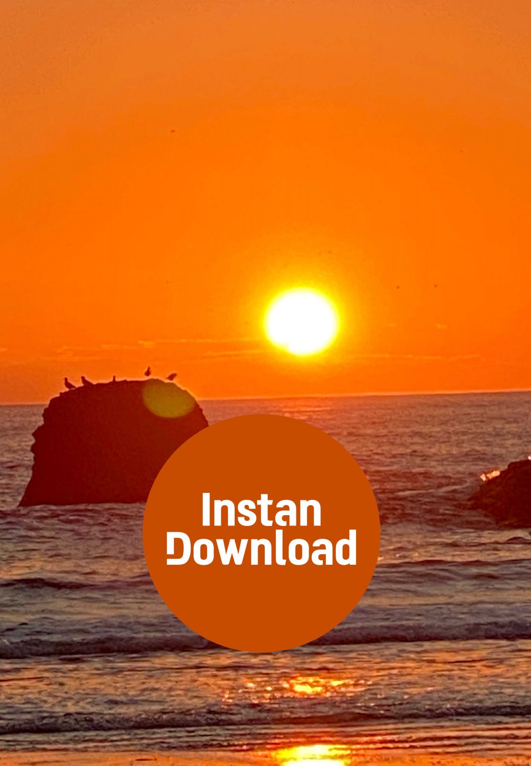 Sunset Solitude: Birds Perch on a Sea Rock at Dusk