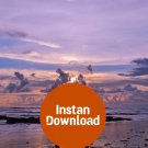 Friendship at Dusk: Silhouettes and Sunset at the Beach