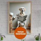 Poster Print : Labrador Ponders Daily News