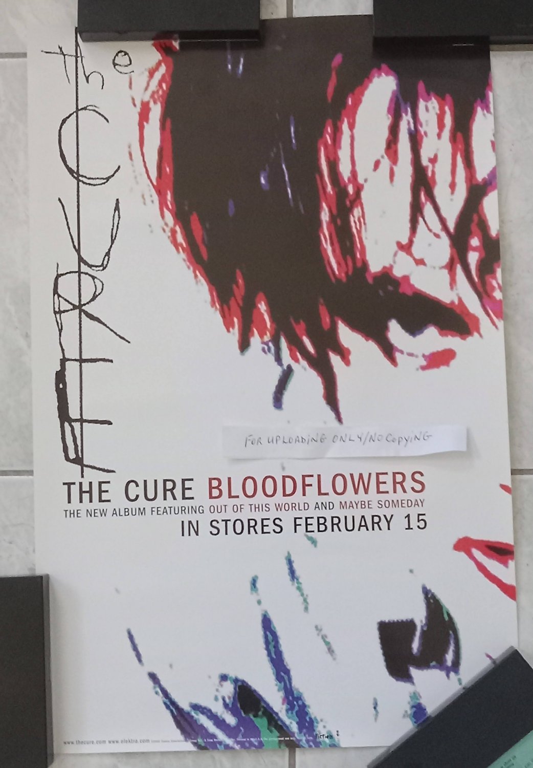 THE CURE PROMO "BLOODFLOWERS" ORIGINAL 11 X 17 INCHES POSTER!! 2000!!