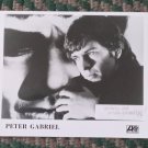 PETER GABRIEL PROMO HORIZONTAL SHOT BLACK AND WHITE 8X10 INCHES!! VERY RARE!! PETER GABRIEL PROMO HORIZONTAL SHOT BLACK AND WHITE 8X10 INCHES!! VERY RARE!!