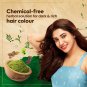 5X Himalaya Natural Shine Henna Mehandi Powder -Hair Color 50g Pack - Free Ship