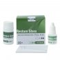 2 X D-Tech Restore Glass Ionomer Restorative Cement