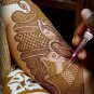 Natural Kaveri Temporary Tattoo Mehandi Herbal Henna Cones Body Art Kit 12 Cones