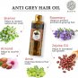BUDDHA NATURAL Grey Hair Oil for Early Greys & Hair Fall - 150 ML