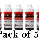 5X Dr Reckeweg Sabal Serrulata 10M CH Dilution 11ml Each