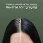 Satthwa Kalika Hair Oil - Make Your Hair Naturally Darker 150 Ml