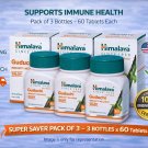 Guduchi Tablets Natural Immunity Wellness Support 180 Tablets Pack of 3