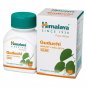 Guduchi Tablets Natural Immunity Wellness Support 180 Tablets Pack of 3