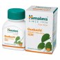 Guduchi Tablets Natural Immunity Wellness Support 180 Tablets Pack of 3