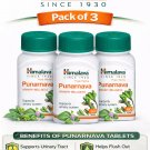 Himalaya Punarnava Tablets 60s x3 | Herbal Urinary Support free shipping