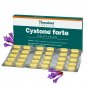 Himalaya Cystone Forte Tablets Pack of 3 | 180 Tabs | Herbal | Free Shipping