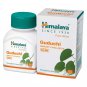 Guduchi Tablets Natural Immunity Wellness Support 300 Tablets Pack of 5