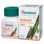 Guduchi Tablets Natural Immunity Wellness Support 300 Tablets Pack of 5