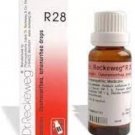 Dr Reckeweg R28 Drops 1x22ml Fatigue & Weakness After Blood Loss Support Aid