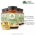 Organic India Garcinia Cambogia 60 Veg Capsules Herbal Supplement 10 Pack