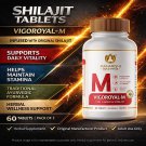 Maharishi Ayurveda Herbal Tablets Vigoroyal-M Herbal Supplement 60 Tablets