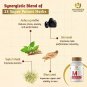 Maharishi Ayurveda Herbal Tablets Vigoroyal-M Herbal Supplement 60 Tablets