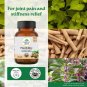 Organic India Flexibility 60 Capsules Ayurvedic Herbal Joint Support 5 Pack