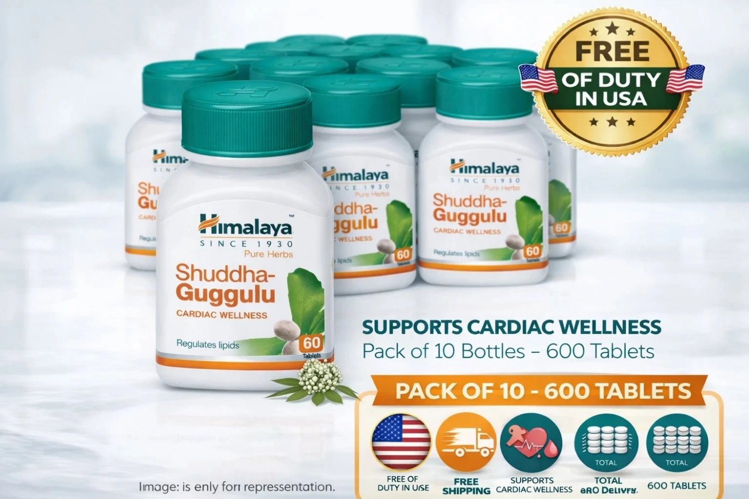 Himalaya Shuddha Guggulu 60 Tabs Herbal Supplement Pack of 10 Wellness