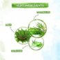 Mamaearth Tea Tree Pimple Control Face Wash Salicylic Oil Cleanser 100ml