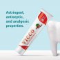 Vicco Vajradanti Ayurvedic Toothpaste 200g x 10 | Herbal | Bad Breath Care