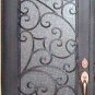 Custom Wrought Iron Door 39 1/2" x 81 1/2"