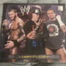 New 2013 WWE Wresting Photo Calendar - CM Punk John Cena Undertaker  TripleH-AEW
