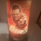 Working The MIZ WWE Rotating Motion Table Lamp Made By WinCraft Sports New