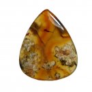 1 Pcs. Of Natural Flower Agate Trillion Cabochon 36x29mm loose gemstone for jewelry