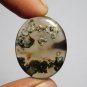 1 Pcs. Of Natural Flower Agate Round Cabochon 27mm loose gemstone for jewelry