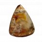 1 Pcs. Of Natural Flower Agate Trillion Cabochon 35x27mm loose gemstone for jewelry