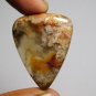 1 Pcs. Of Natural Flower Agate Trillion Cabochon 35x27mm loose gemstone for jewelry