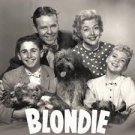 Blondie - Complete series on 2 DVD set