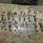 KITAMURA 1 CNC MILL TOOL CHANGER CAROUSEL HOLDER FINGER POD POT LOT OF 3 PIECES