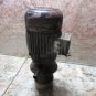 BRINKMANN PUMPEN LEBLOND MAKINO GILDEMEISTER NEF CT40 COOLANT OIL PUMP MOTOR