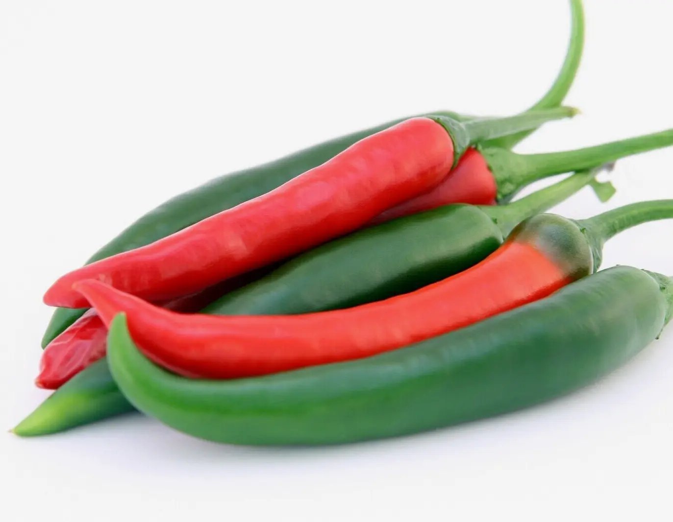 50 Seeds Jalapeno Pepper Spring Heirloom Vegetable Fruits  Tasty