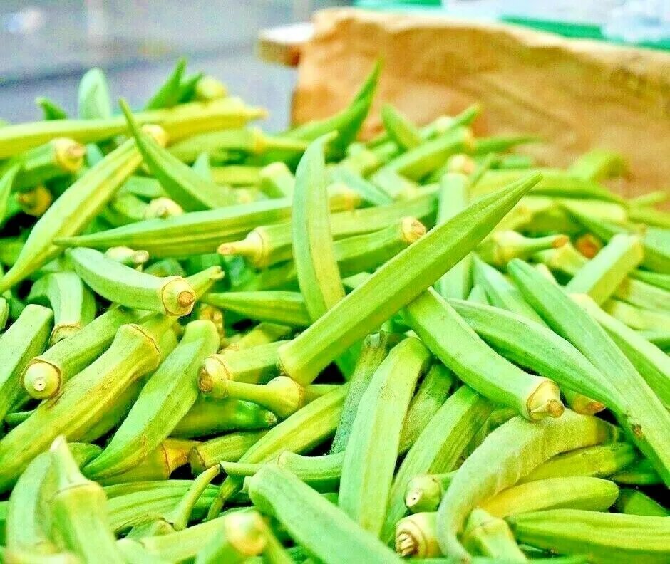 300 Seeds Okra Clemson Garden Vegetable Heirloom All-American Winner