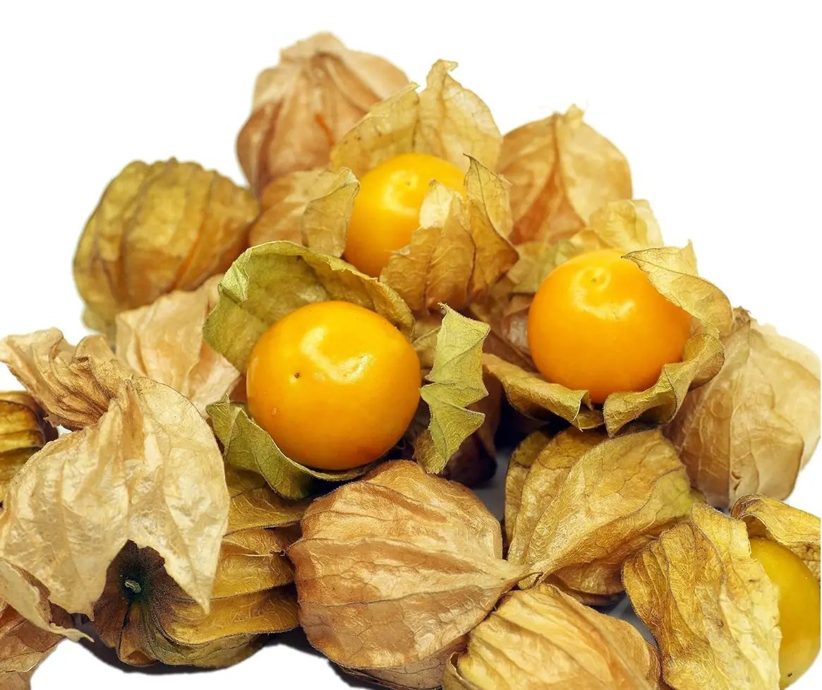 Tomatillo Pineapple Vegetable Seeds