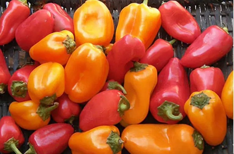 Pepper Mini Snacking Baby Belle Vegetable Seeds