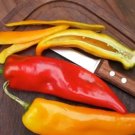 Pepper Italian Sweet Sunset Mix Vegetable Seeds