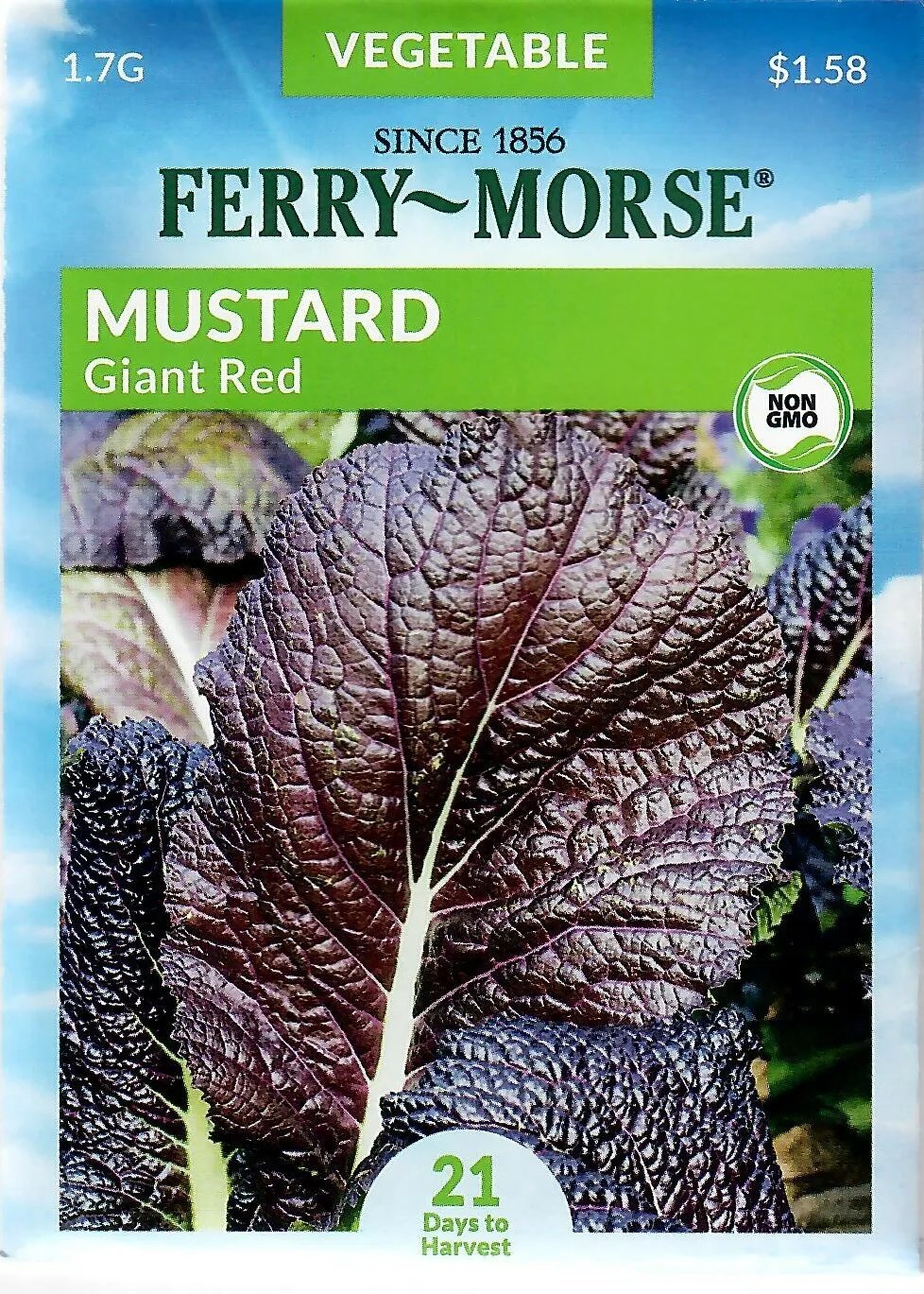 Mustard Giant Red Vegetable Seeds